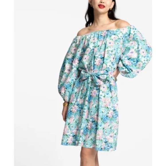 Tuckernuck Frances Valentine Bliss Mini Dress Chrysanthemum Blue Size Small - Picture 1 of 11